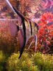 images/avatars/avatar-559.jpg