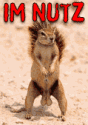images/avatars/avatar-641.gif